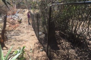 chain link fence