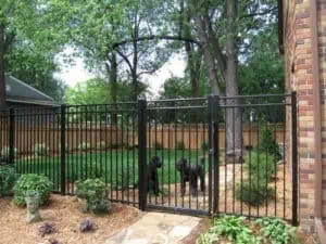A lush garden with tall trees and a neatly mowed lawn, enclosed by a black metal fence. Two large black dogs stand behind a closed gate.