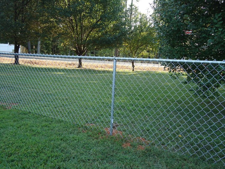 Chain-Link Fences, Los Angeles