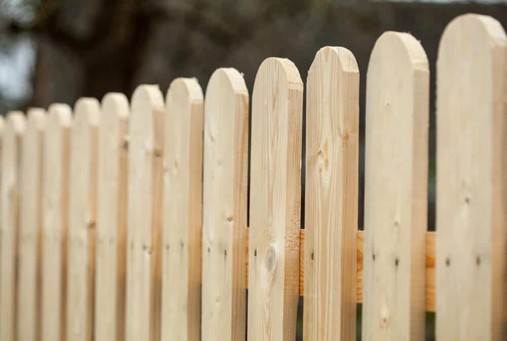 Maintain Your Wood Fence