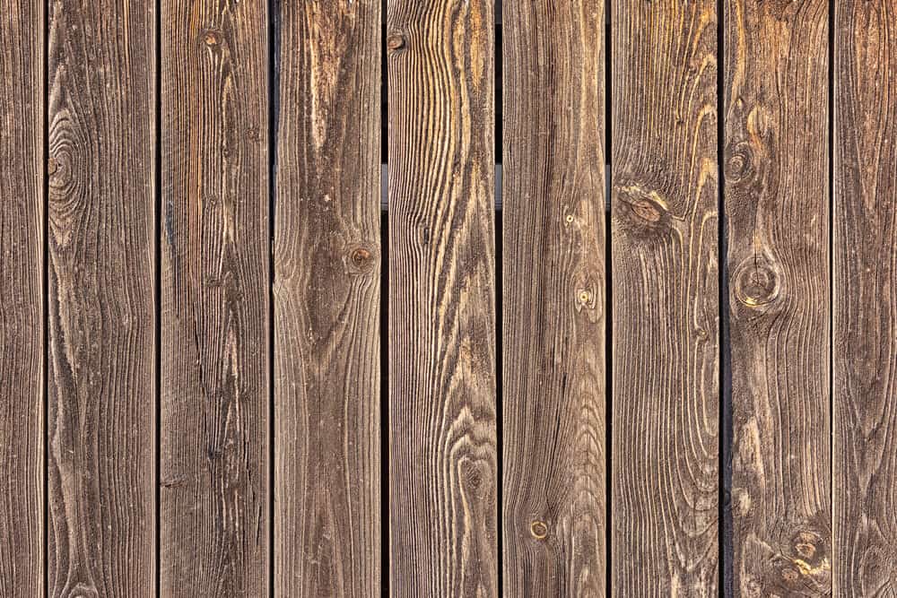 Fence Boards Warping