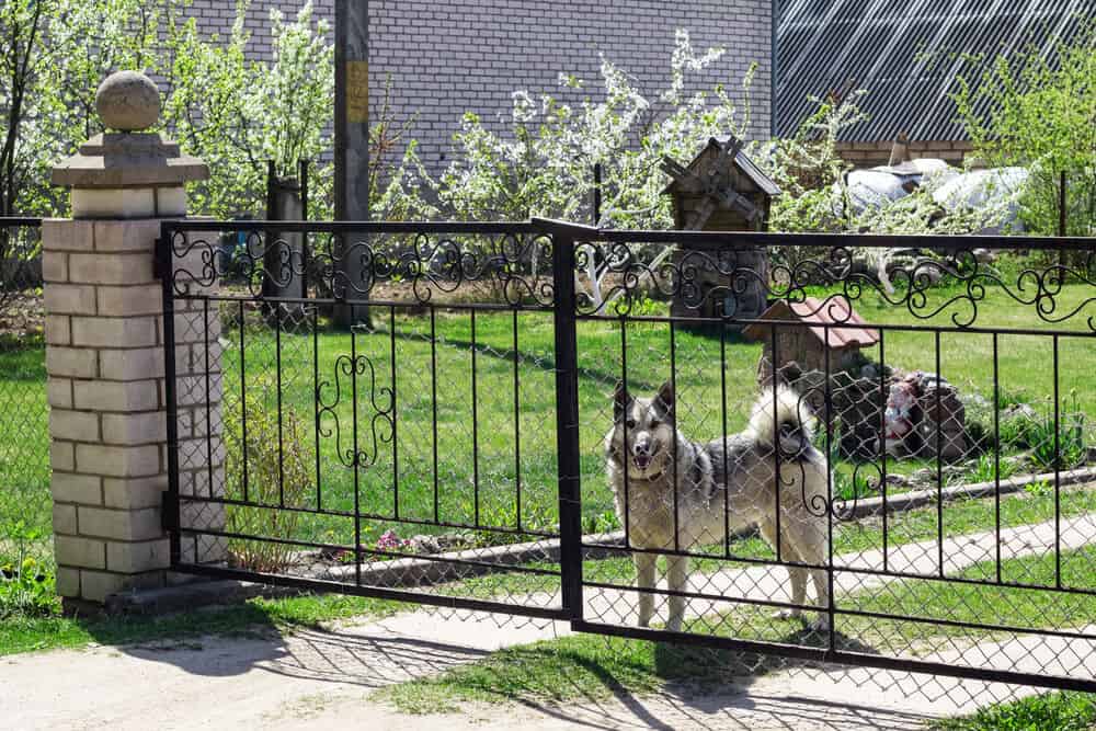 Aluminum dog fence outlet