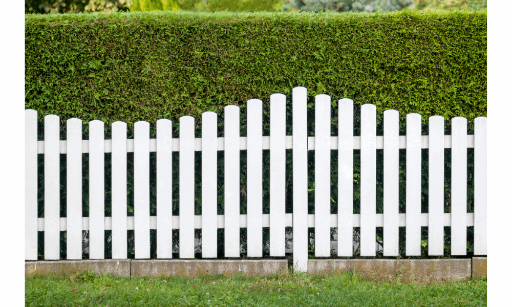Top 7 Fence Designs in 2023