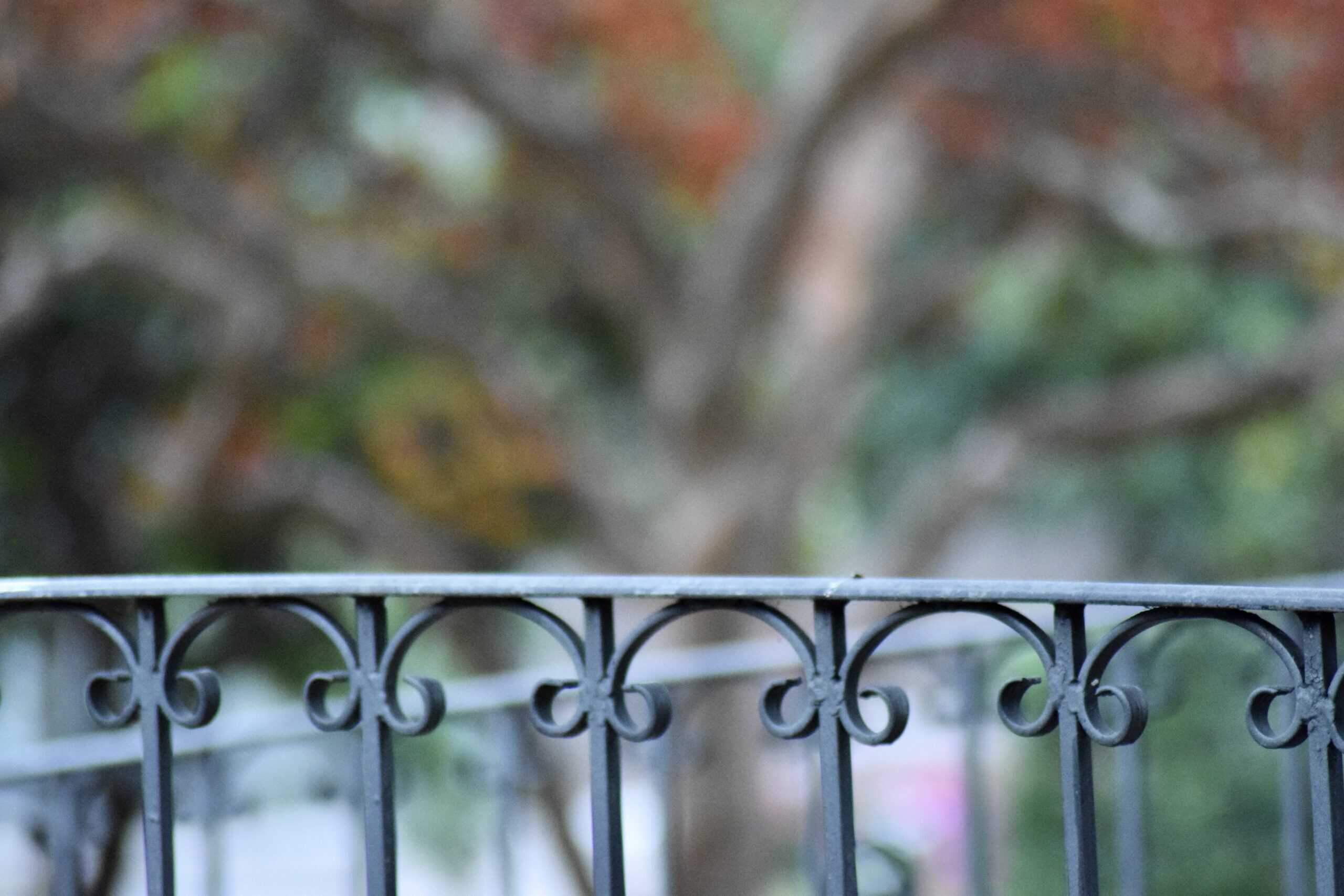 Why Choose Wrought Iron Fence for Your Home